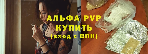 твердый Аркадак