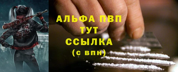 тгк Арсеньев