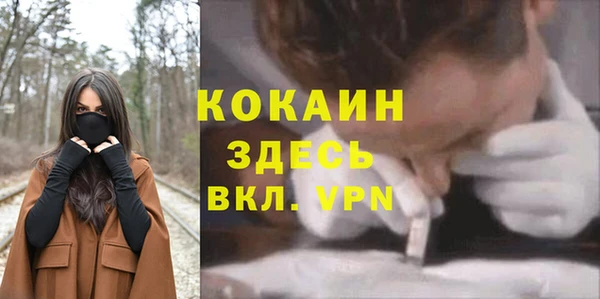 твердый Аркадак